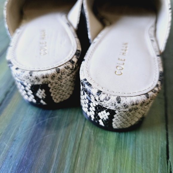 Cole Haan Snakeskin Loafers - Picture 5 of 7